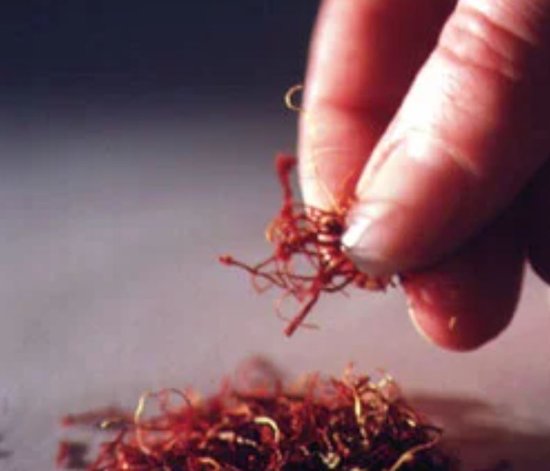 Шафран в щепотке